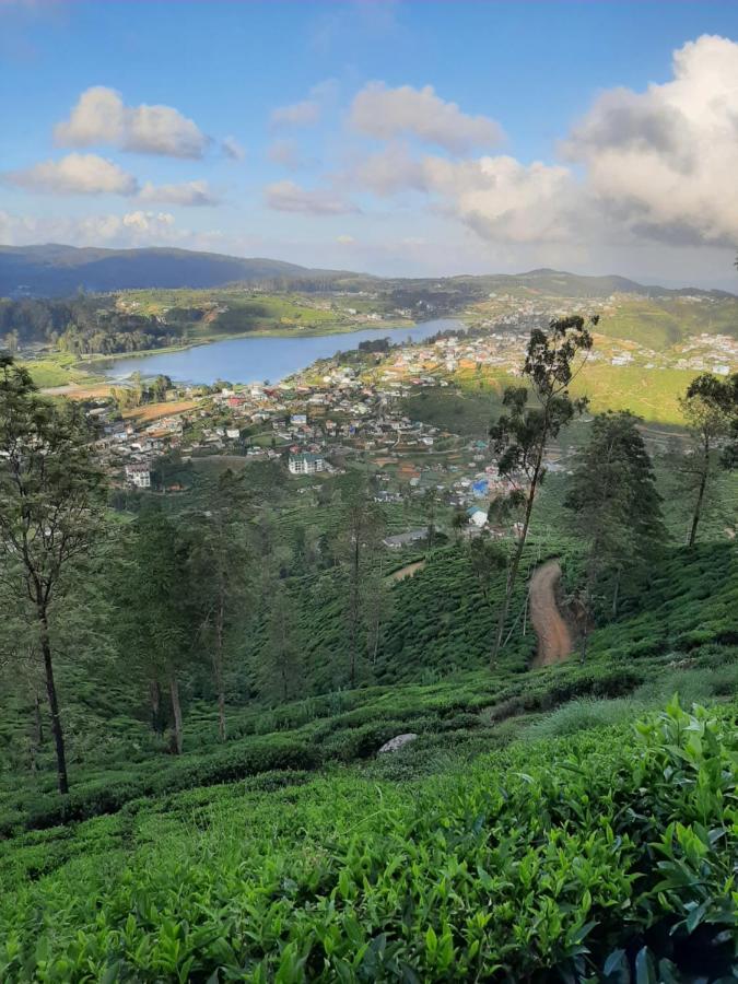 Summer Glow Guest - Nuwara Eliya Eksteriør bilde